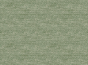 Bottle green and light ground