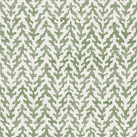 Fern