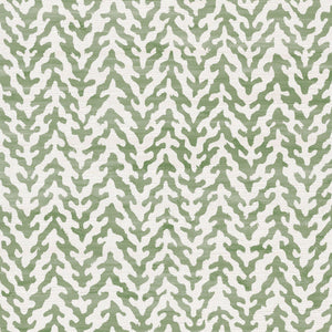 Fern