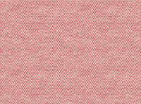 Red coral and light ground