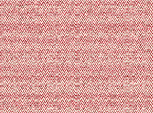 Red coral and light ground