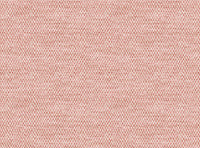 Soft rose