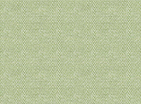 Summer green