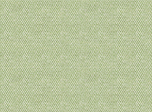 Summer green
