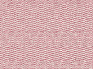 Wild orchid pink