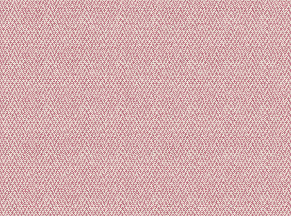Adhira wild orchid pink
