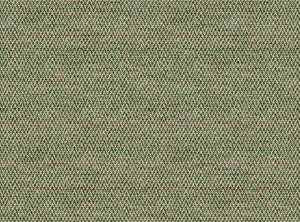 Bottle green and light ground