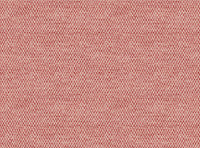 Red coral and light ground