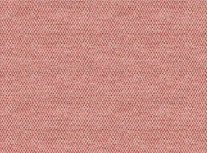 Red coral and light ground