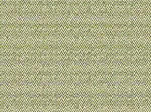 Summer green