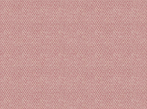 Wild orchid pink