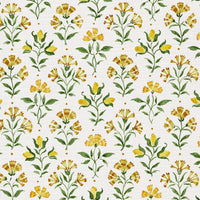 Yellow green white ground