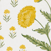 Yellow and moss green