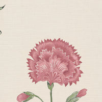 Soft pink and green