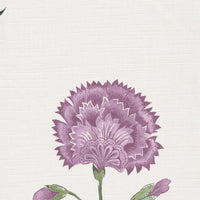 Lavender and fern