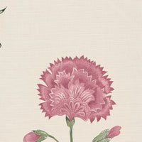 Wild orchid pink and green
