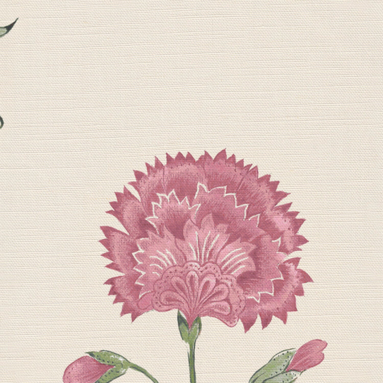 CW: Wild orchid pink and green | BASE: Luxury Linen | HERO
