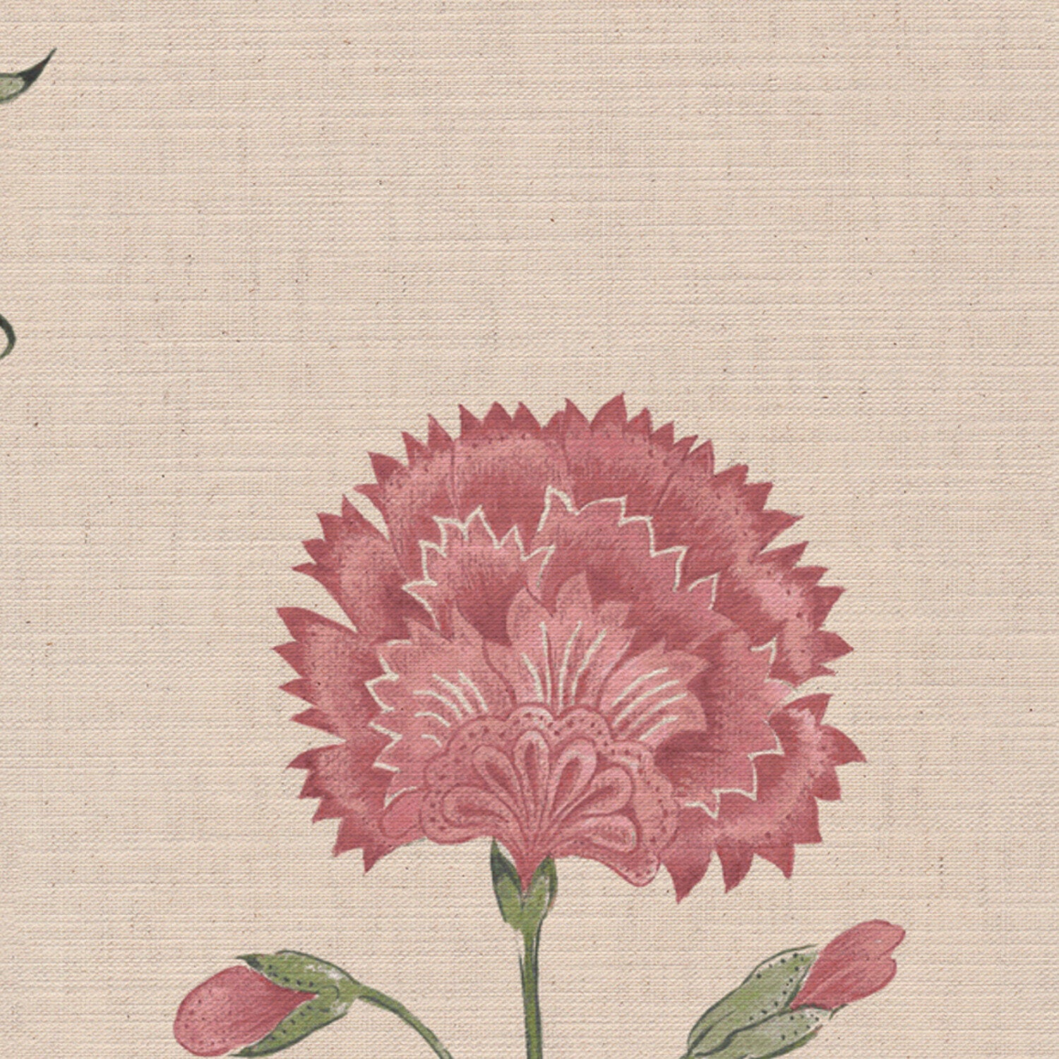 CW: Soft pink and green | BASE: Mercia Linen | HERO