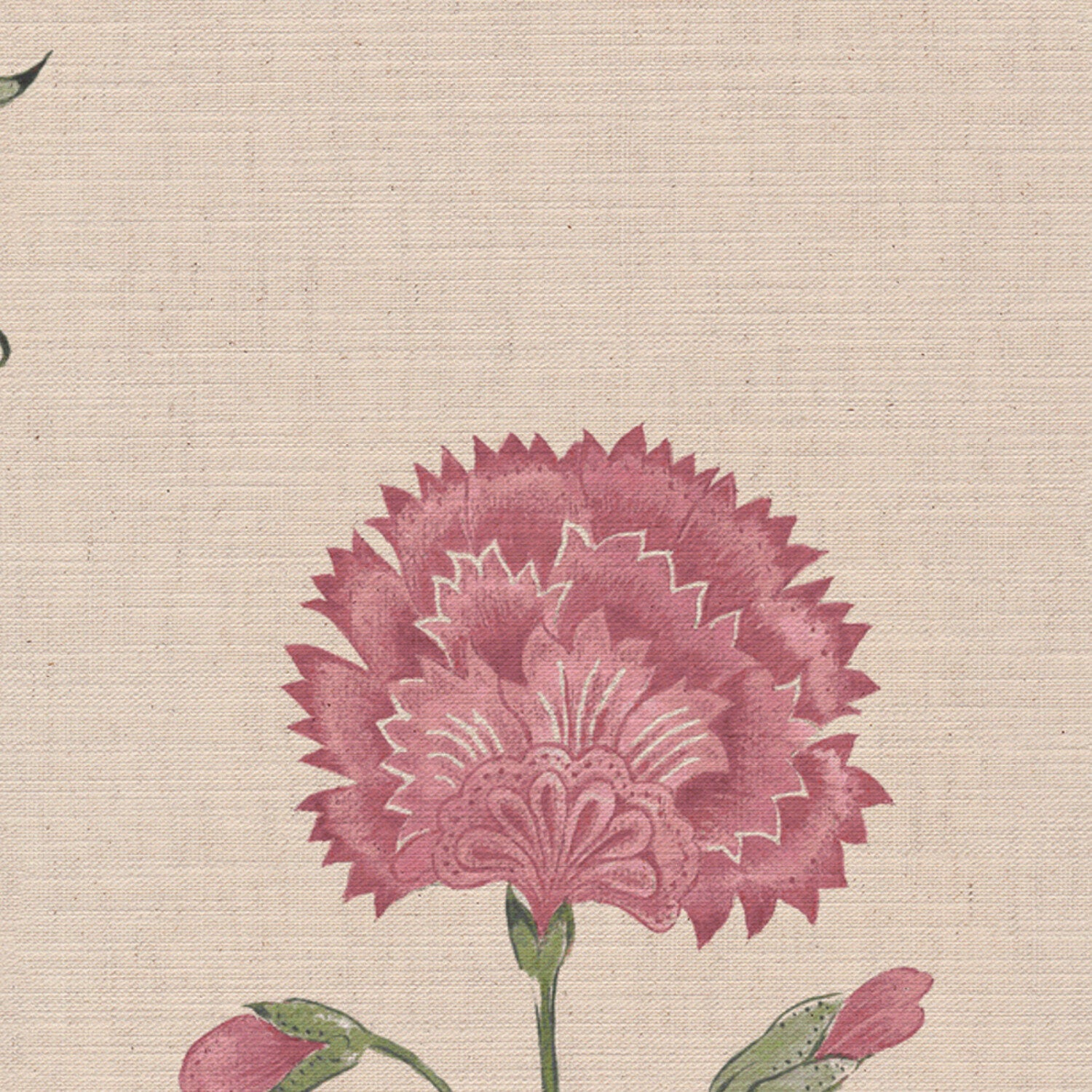 CW: Wild orchid pink and green | BASE: Mercia Linen | HERO