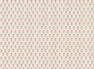 Wild orchid pink and green