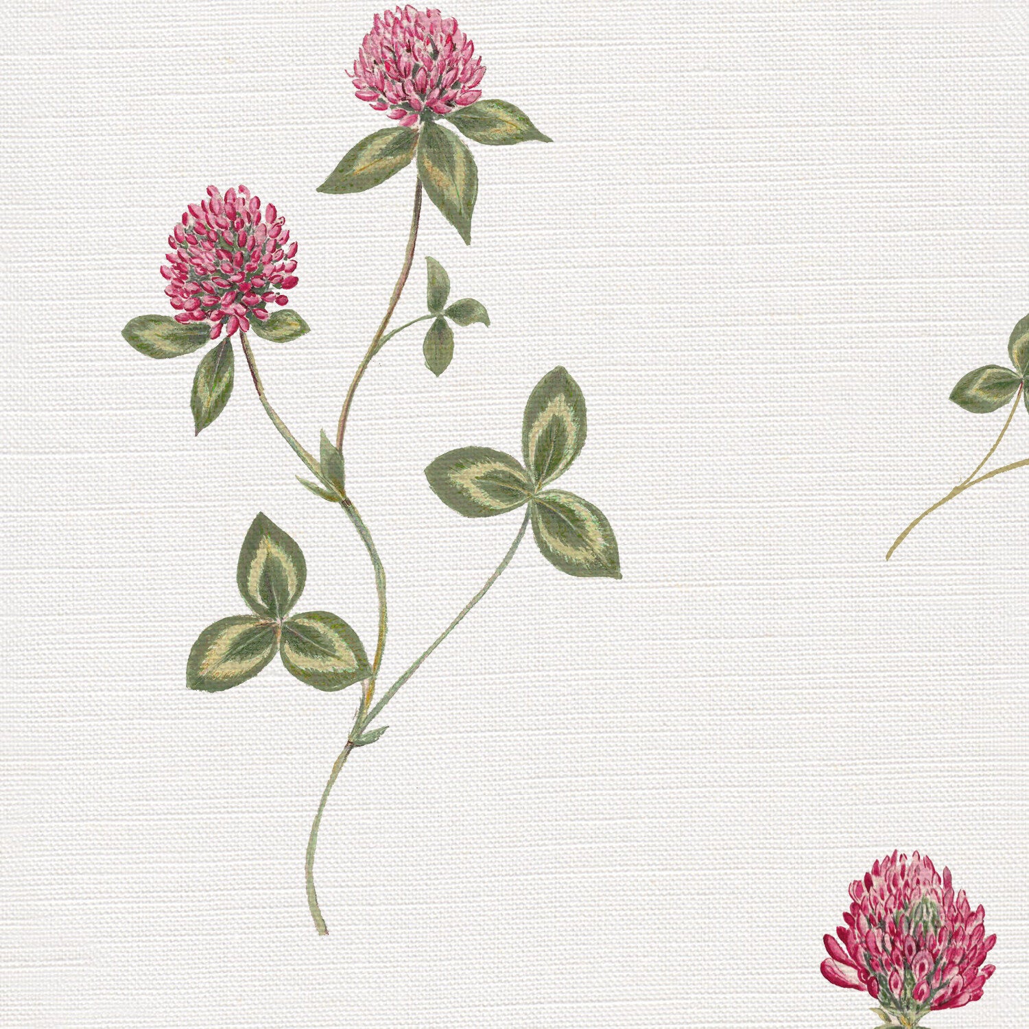 CW: Pink and vintage green | BASE: Luxury Linen | HERO