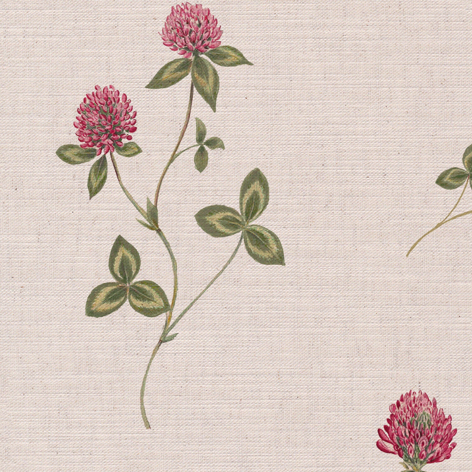 CW: Pink and vintage green | BASE: Mercia Linen | HERO