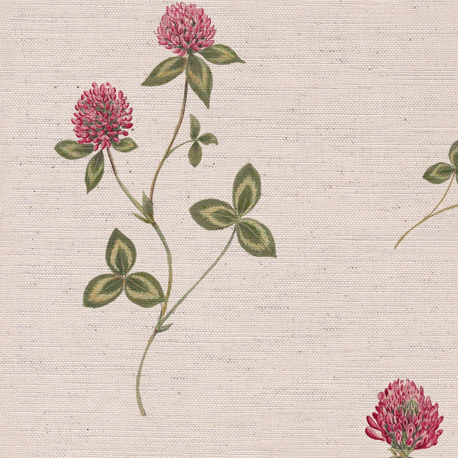 CW: Pink and vintage green | BASE: Natural Luxury Linen | HERO
