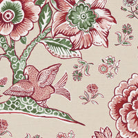 Pink and green