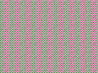 Bright pink and dark green