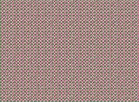 Bright pink and dark green