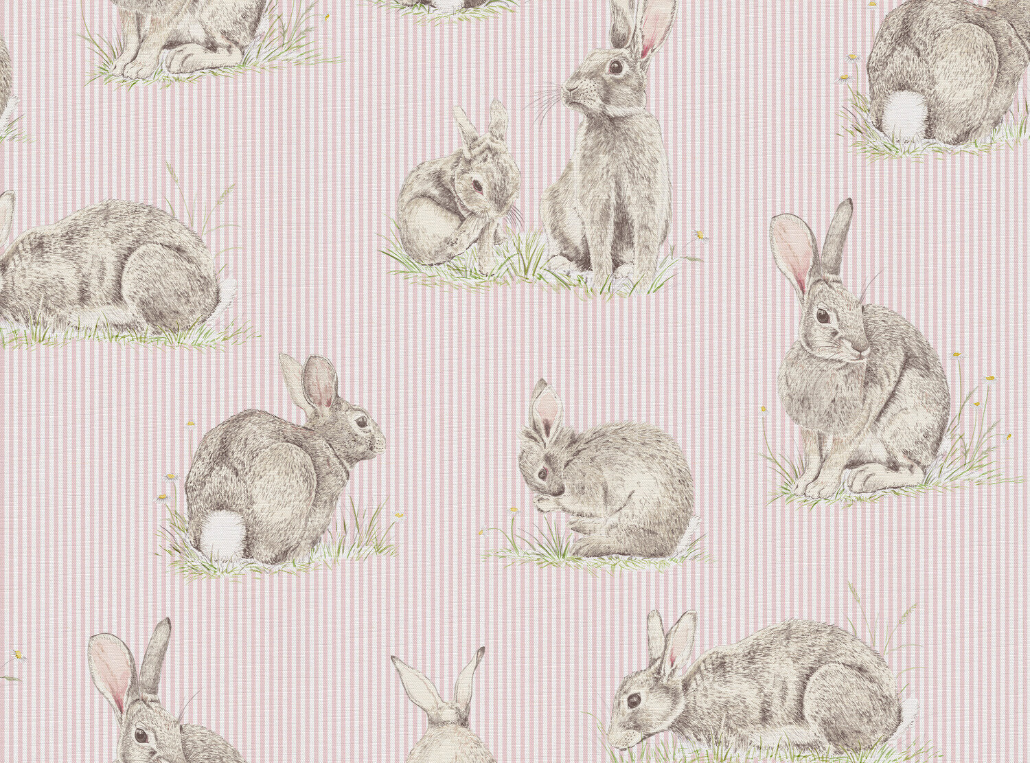 CW: Pink stripe | BASE: Luxury Linen