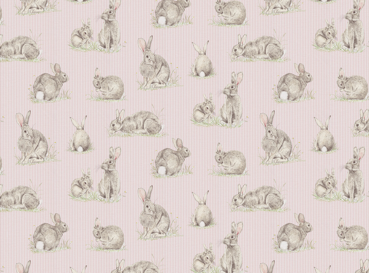 CW: Pink stripe | BASE: Luxury Linen