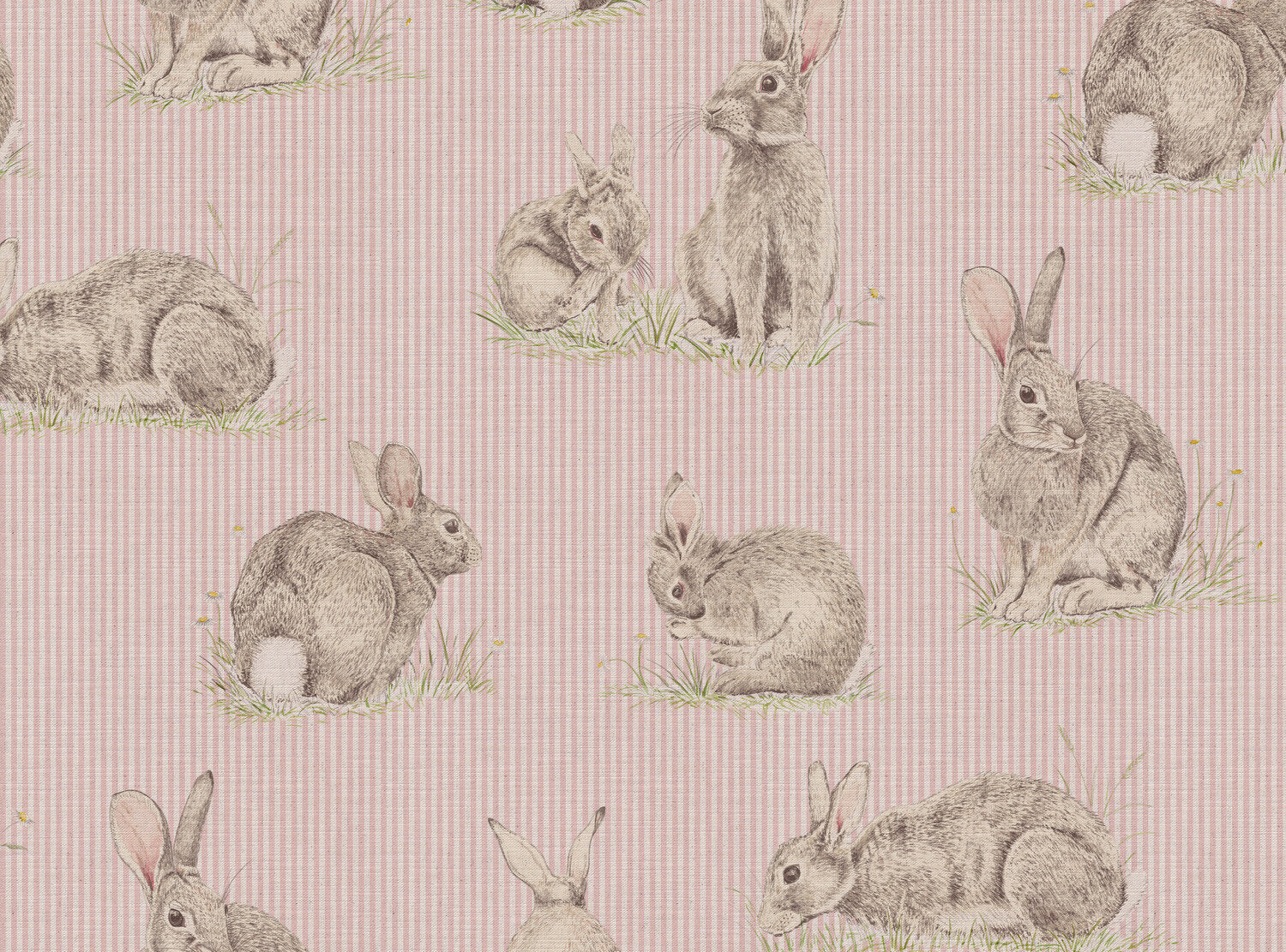 CW: Pink stripe | BASE: Mercia Linen