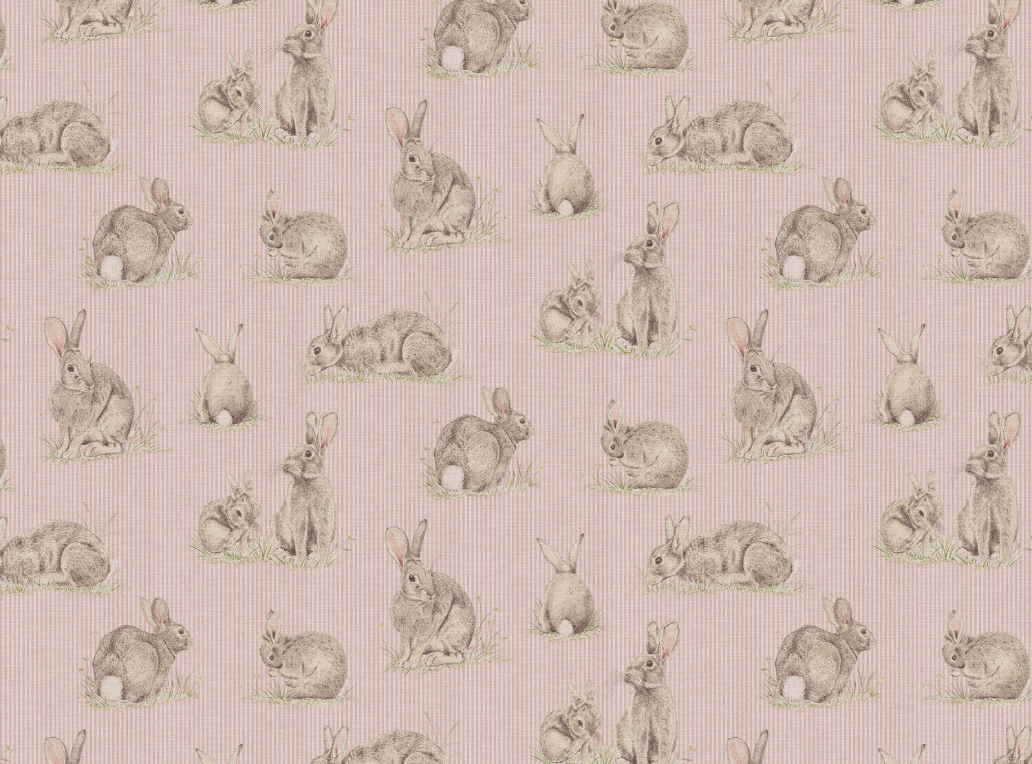 CW: Pink stripe | BASE: Mercia Linen