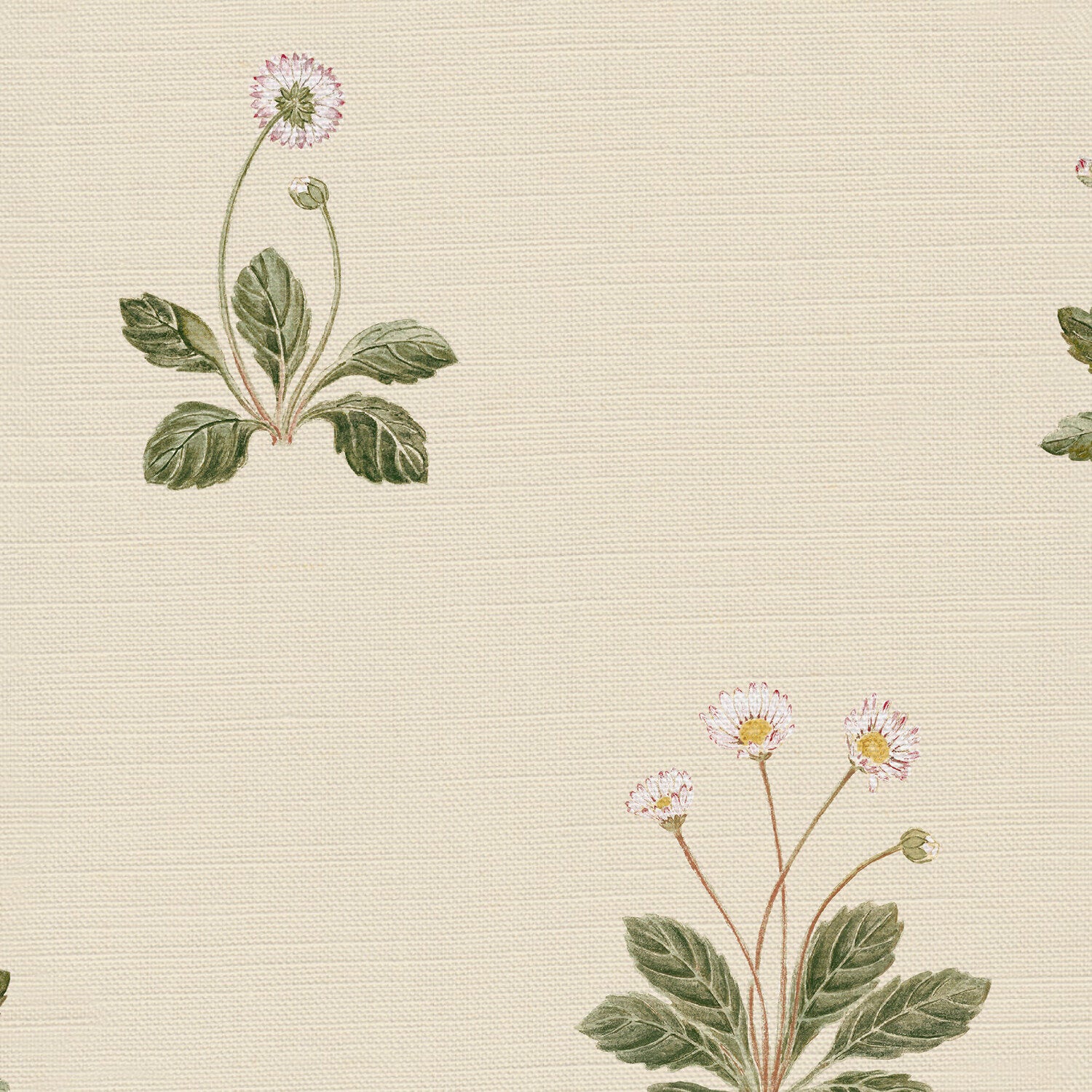 CW: Cream | BASE: Luxury Linen | HERO