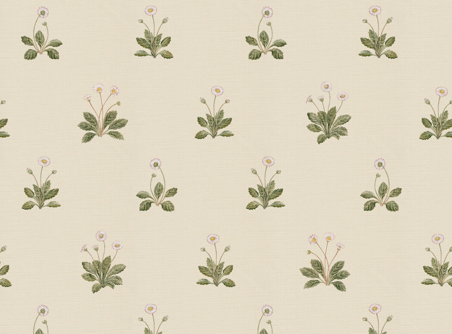 CW: Cream | BASE: Luxury Linen