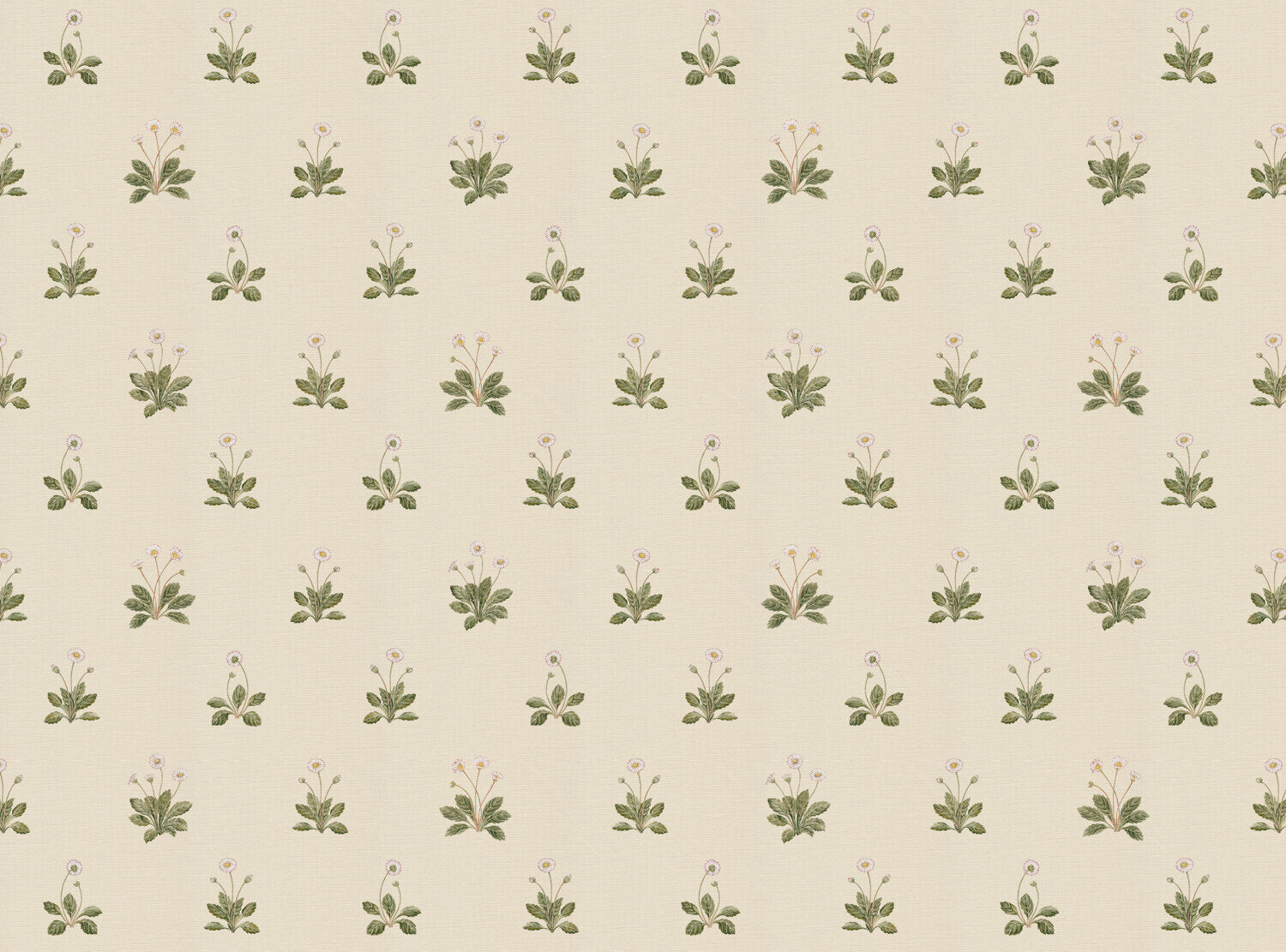 CW: Cream | BASE: Luxury Linen