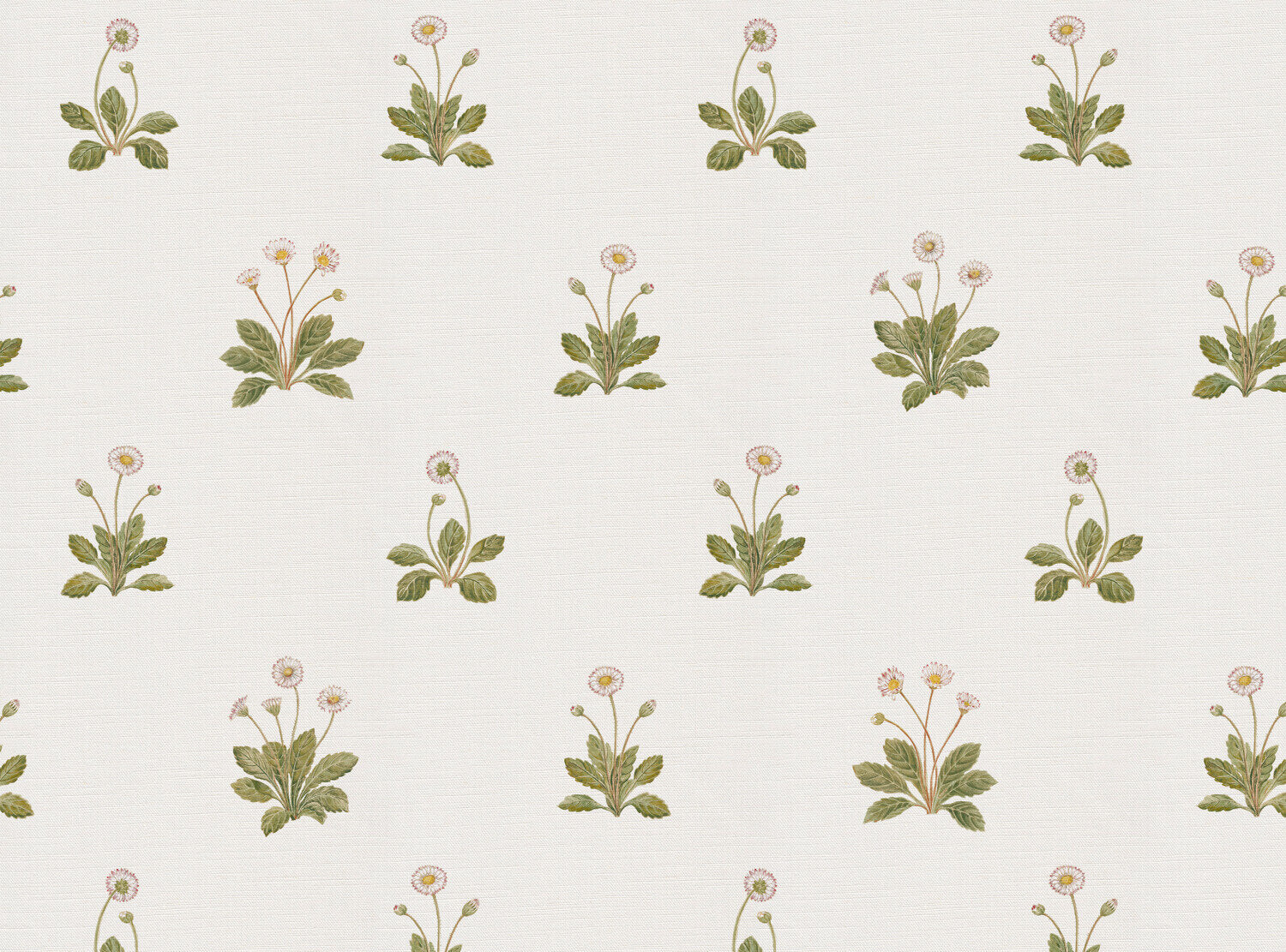 CW: Ivory | BASE: Luxury Linen