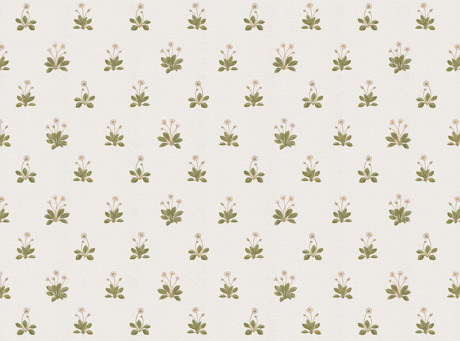 CW: Ivory | BASE: Luxury Linen
