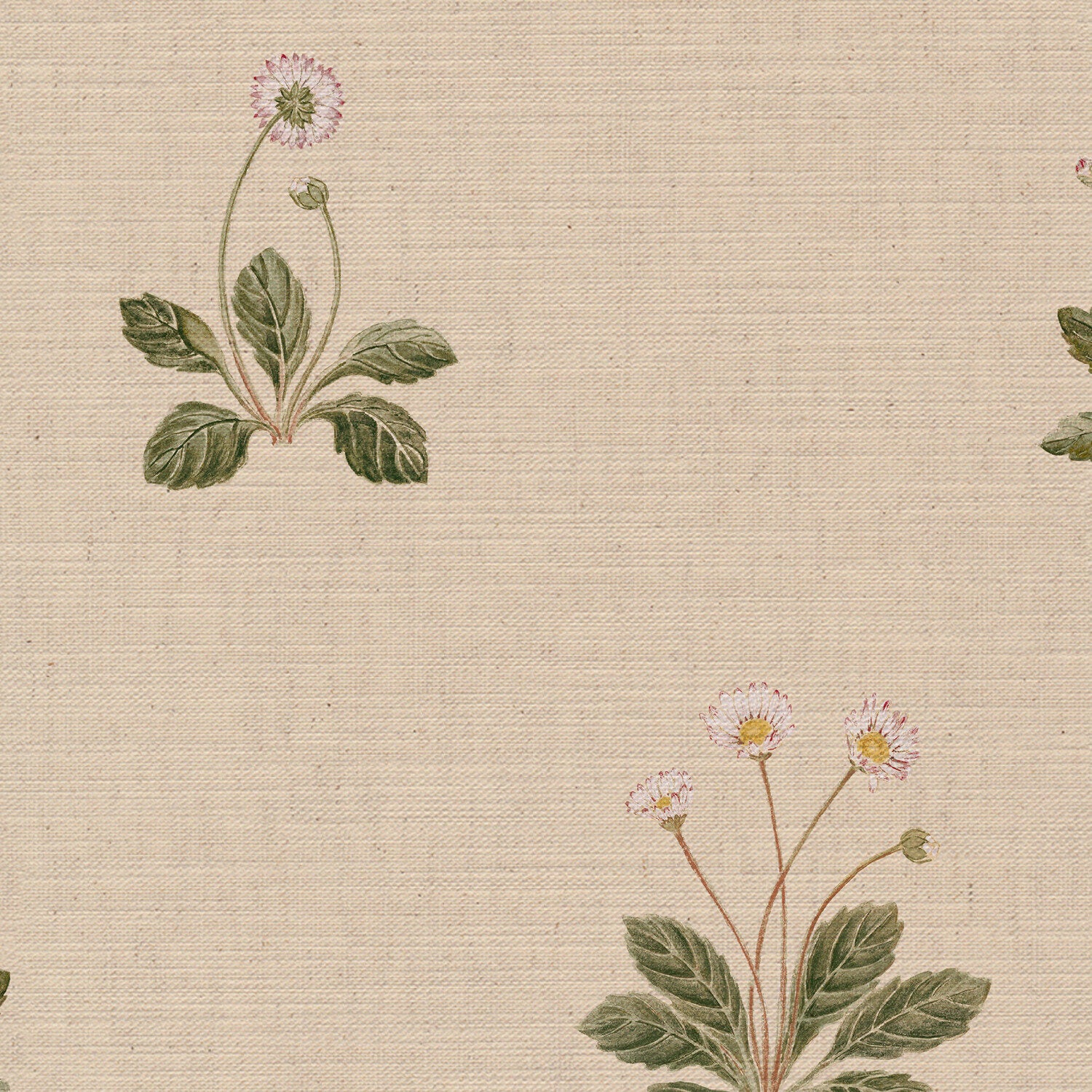 CW: Cream | BASE: Mercia Linen | HERO