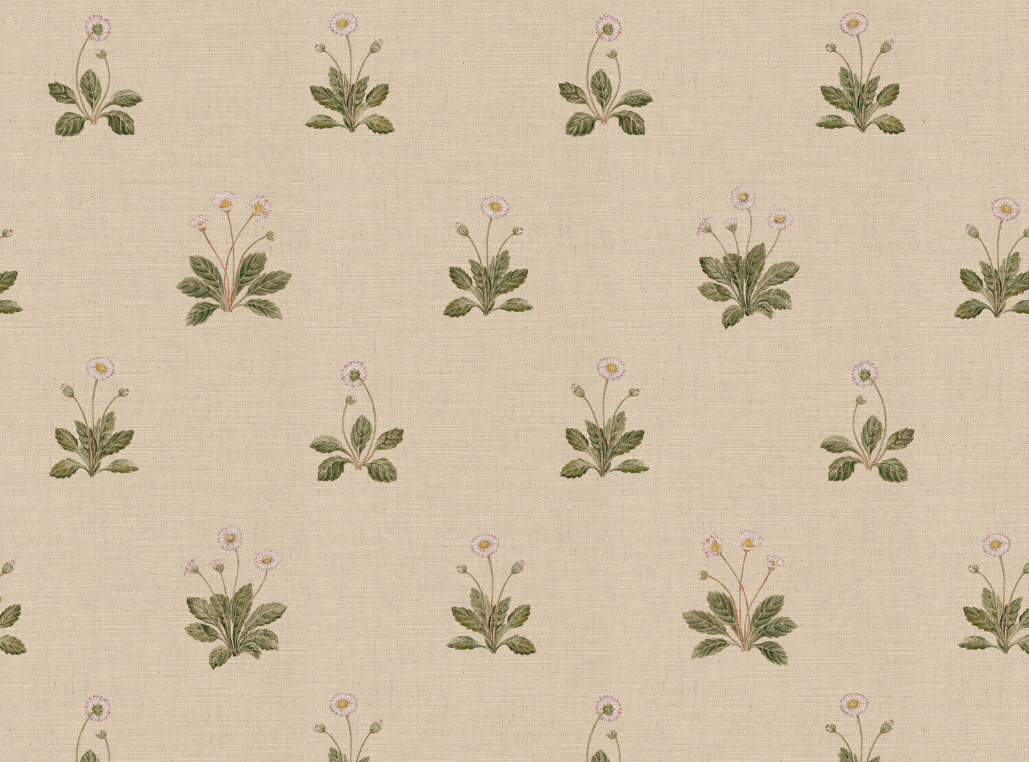 CW: Cream | BASE: Mercia Linen