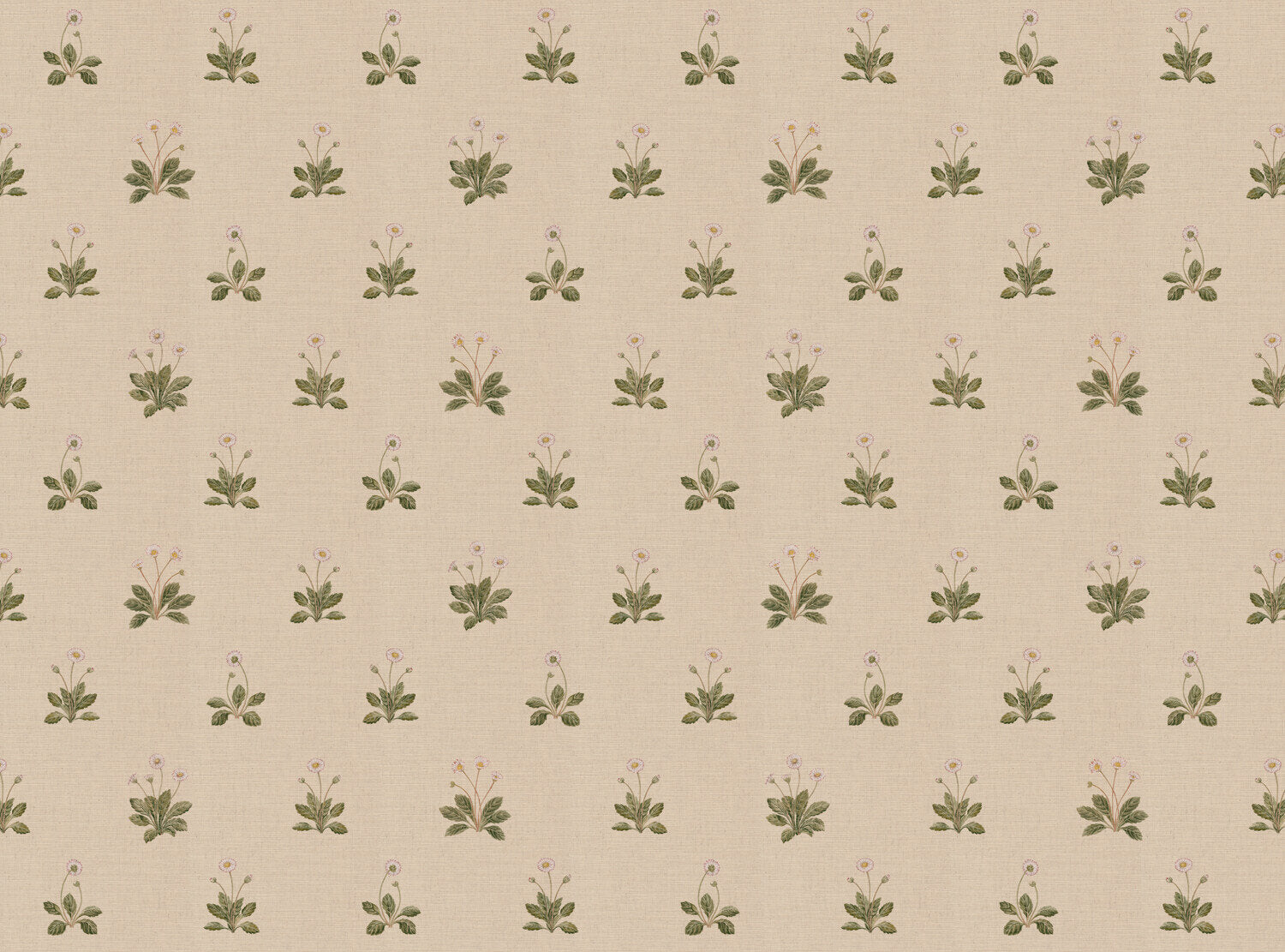 CW: Cream | BASE: Mercia Linen