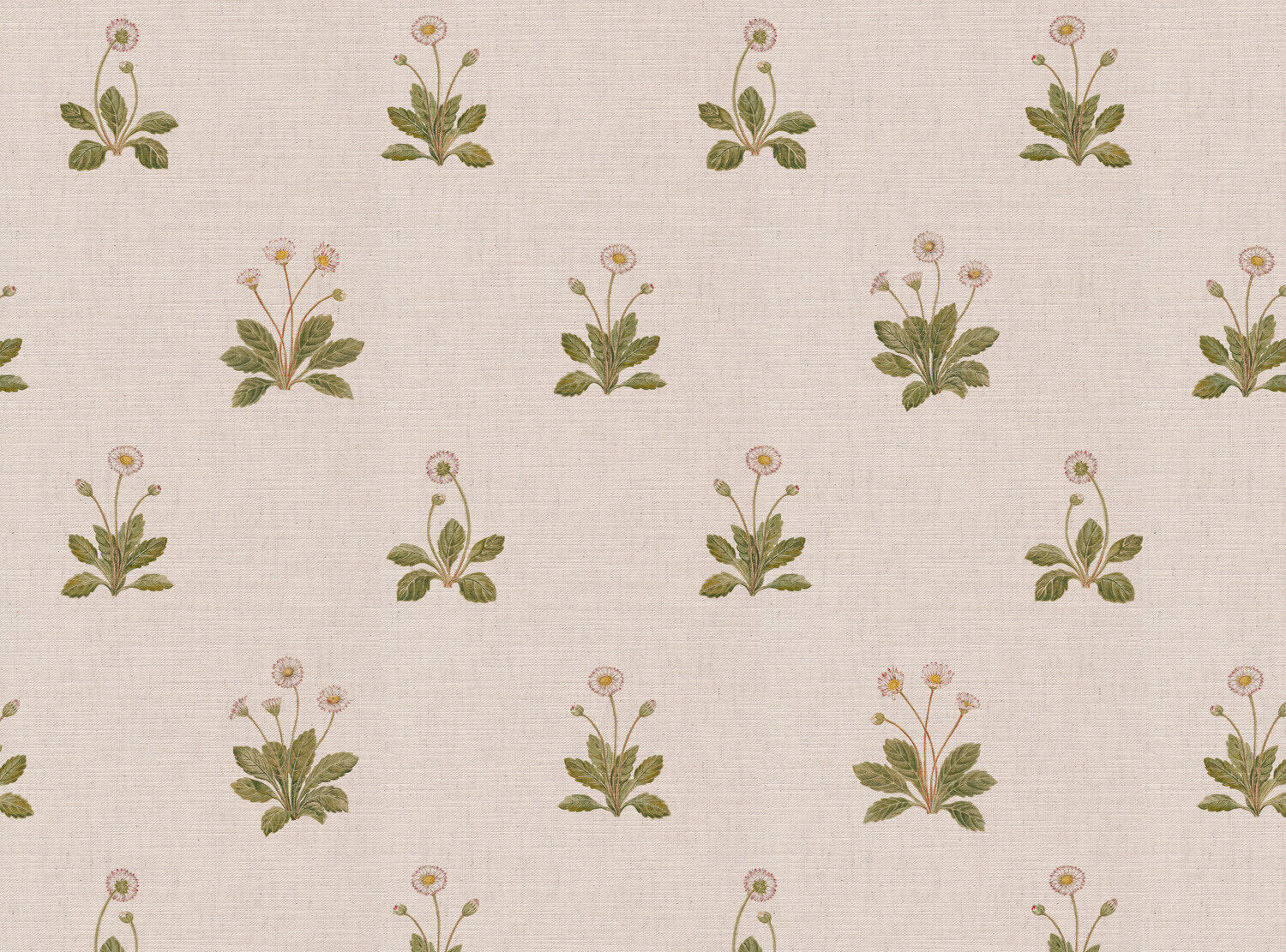 CW: Ivory | BASE: Mercia Linen