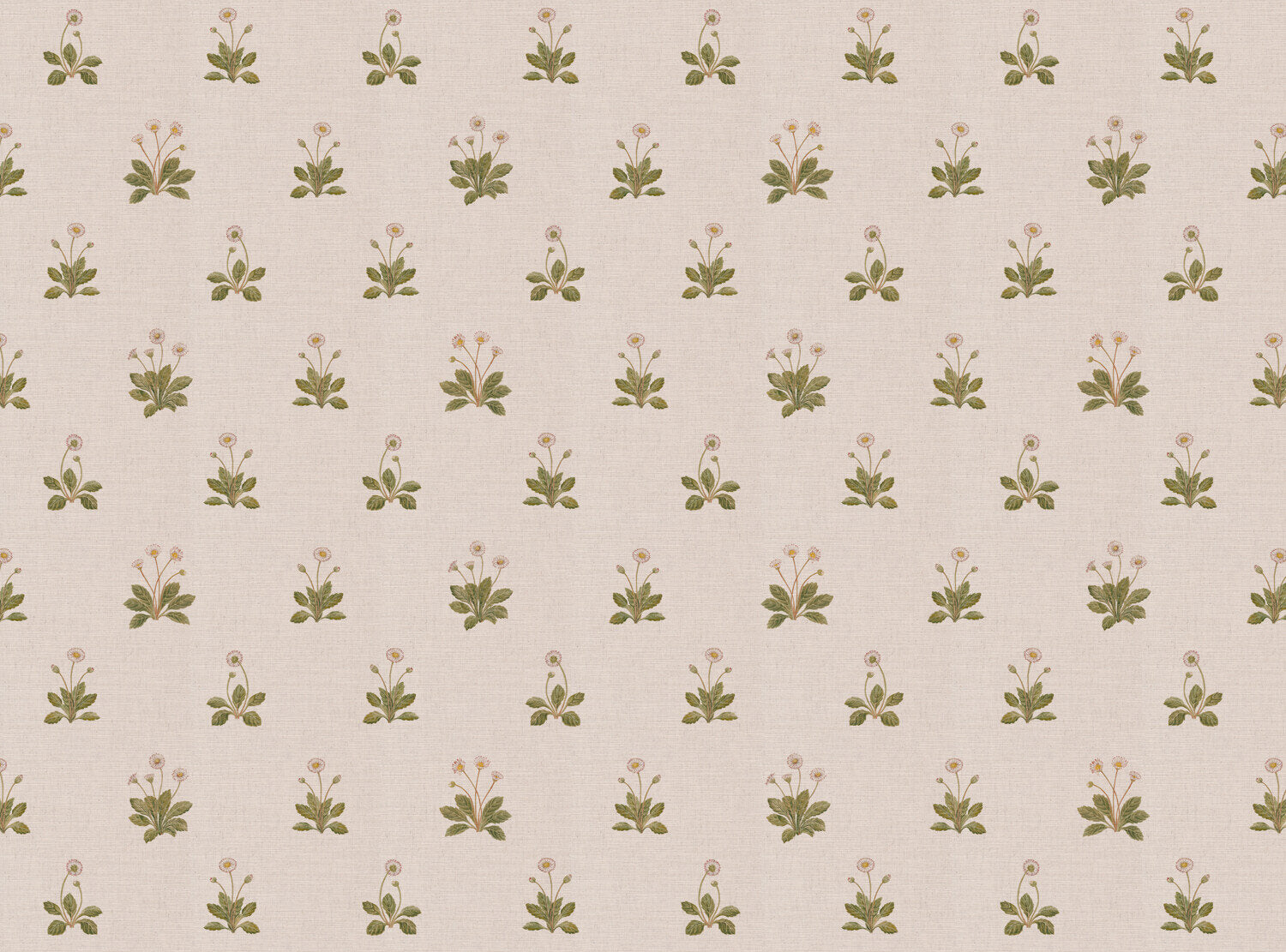 CW: Ivory | BASE: Mercia Linen