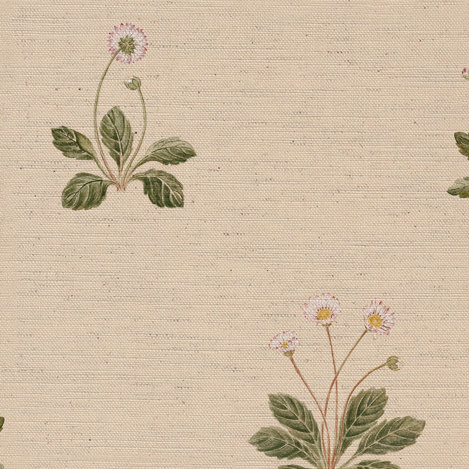CW: Cream | BASE: Natural Luxury Linen | HERO