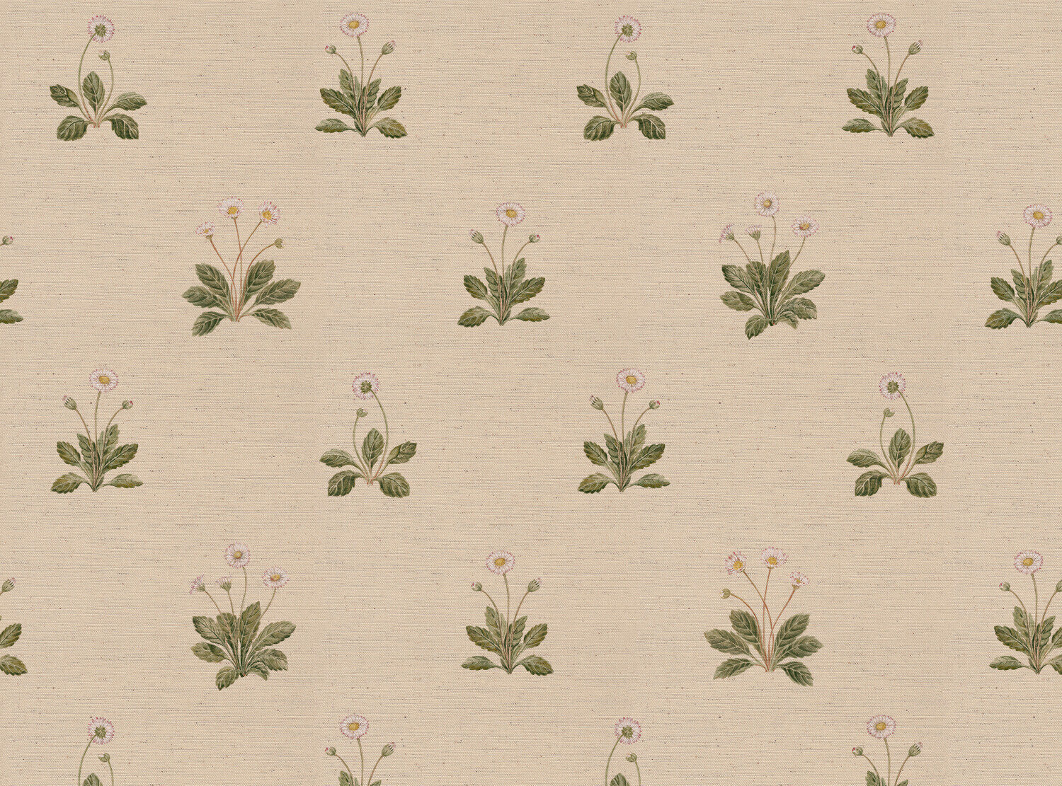 CW: Cream | BASE: Natural Luxury Linen