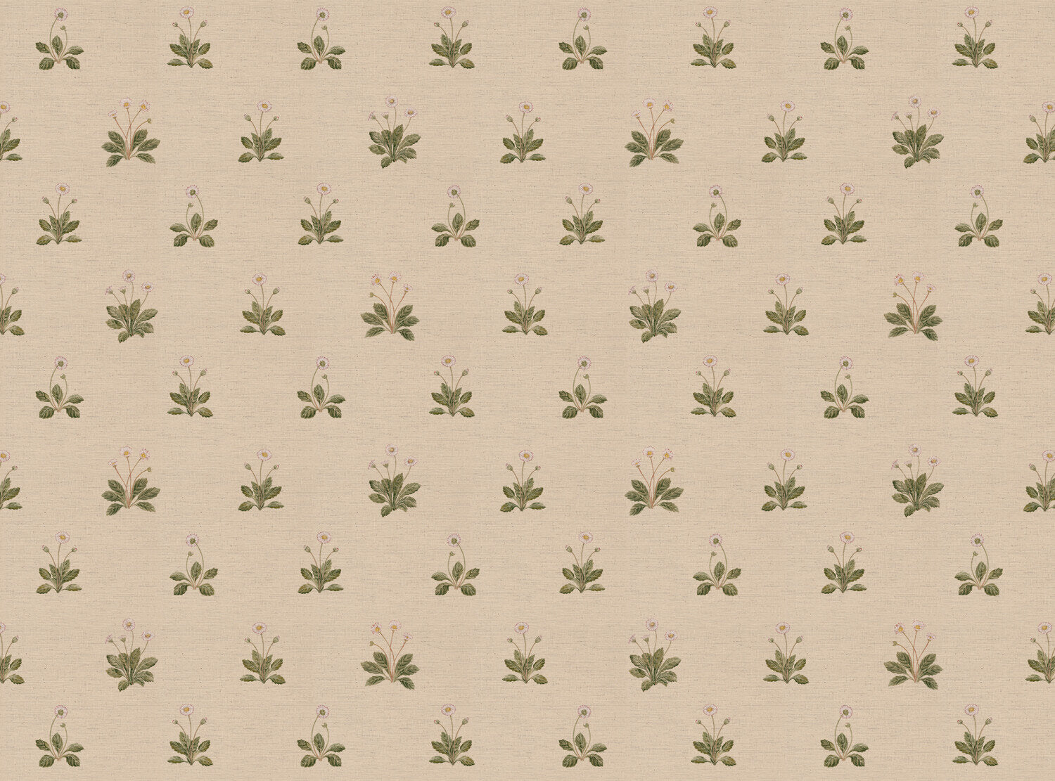 CW: Cream | BASE: Natural Luxury Linen