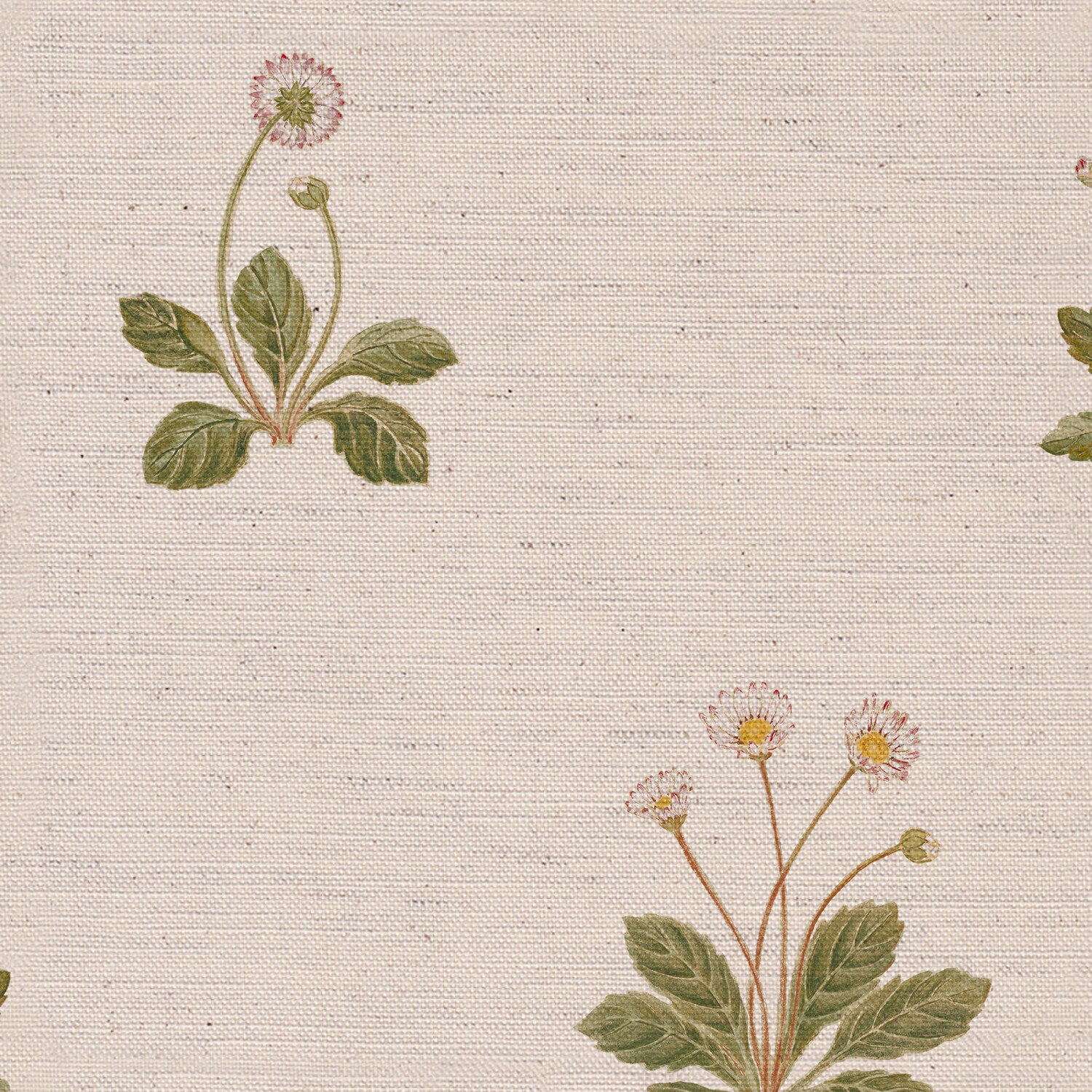 CW: Ivory | BASE: Natural Luxury Linen | HERO