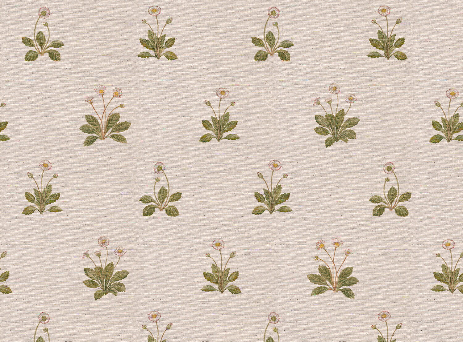 CW: Ivory | BASE: Natural Luxury Linen