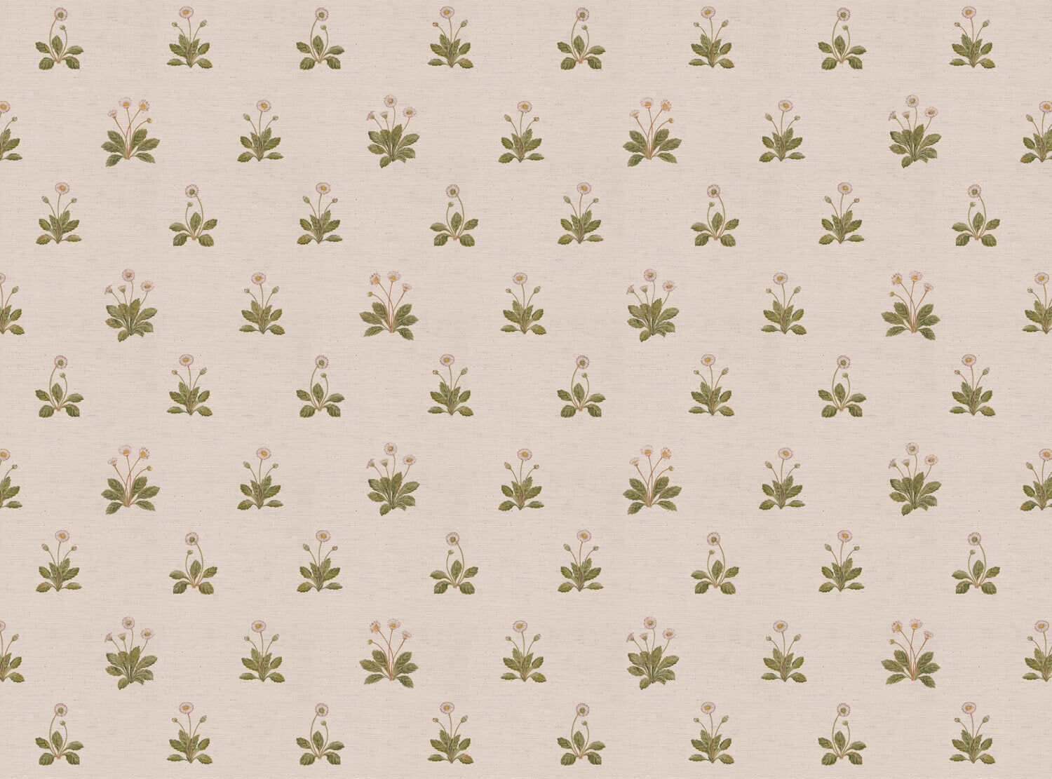 CW: Ivory | BASE: Natural Luxury Linen